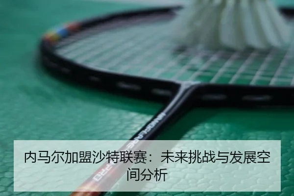 nei-ma-er-jia-meng-sha-te-lian-sai-wei-lai-tiao-zhan-yu-fa-zhan-kong-jian-fen-xi-2-803.jpg