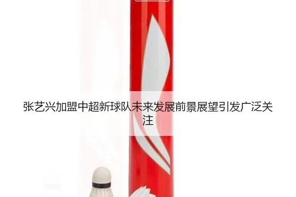 zhang-yi-xing-jia-meng-zhong-chao-xin-qiu-dui-wei-lai-fa-zhan-qian-jing-zhan-wang-yin-fa-guang-fan-guan-zhu-2-434.jpg